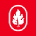 Smoketree