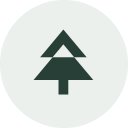 Tamarack