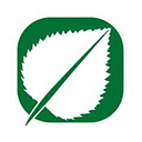 Twisted Leaf