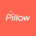 Wamsutter Down Pillow