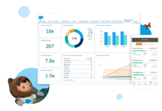 Salesforce CRM