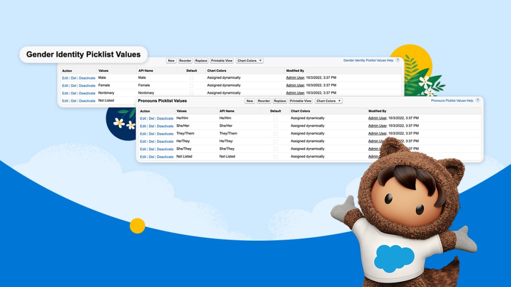 Salesforce Ürünleri, Yeni Cinsiyet Kimliği ve Zamir Verisi Seçenekleri ile Daha Kapsayıcı Hale Geliyor