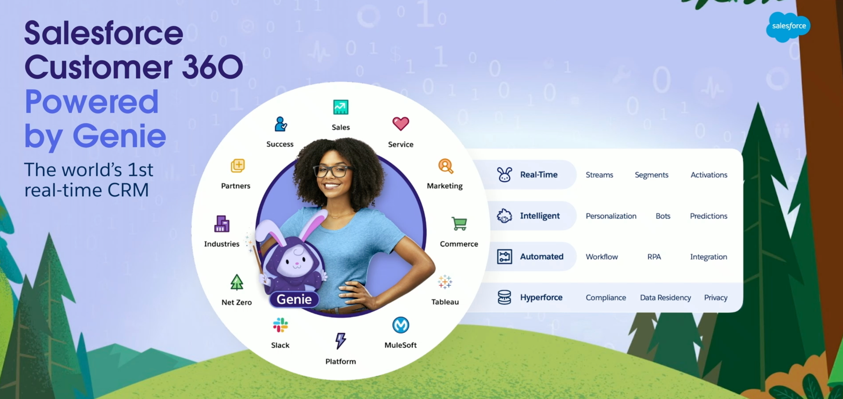 Salesforce Customer 360