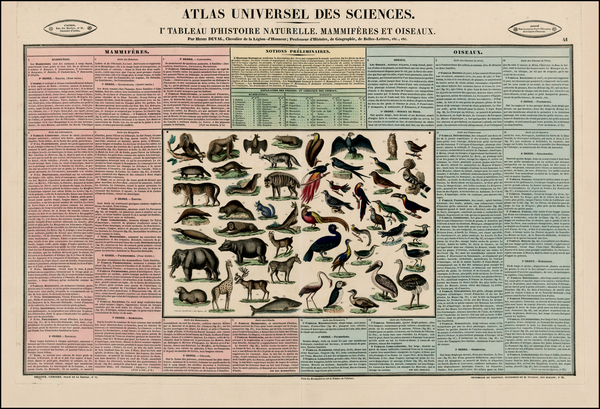 79-Curiosities Map By Henri Duval