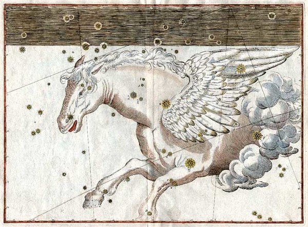 13-World, Celestial Maps and Curiosities Map By Johann Bayer