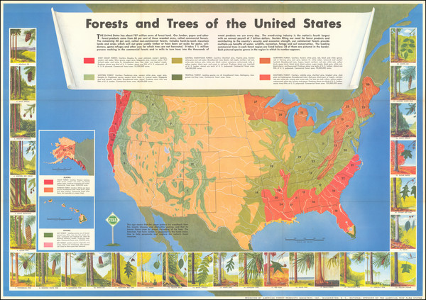 43-United States and Pictorial Maps Map By American Forest Products Industry