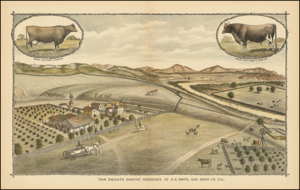 33-San Diego Map By W.W. Elliott & Co.