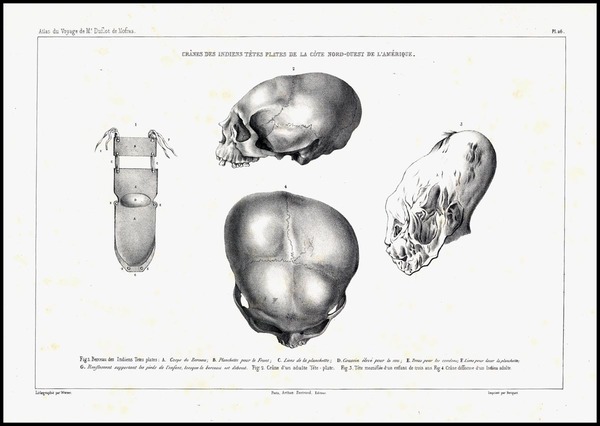 7-Curiosities Map By Eugene Duflot De Mofras