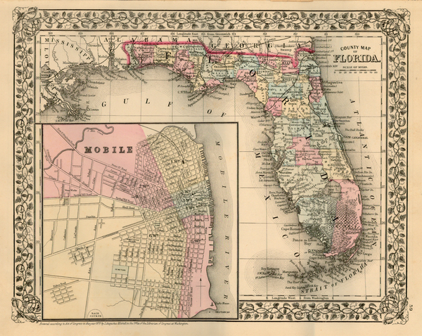 21-South and Southeast Map By Samuel Augustus Mitchell Jr.