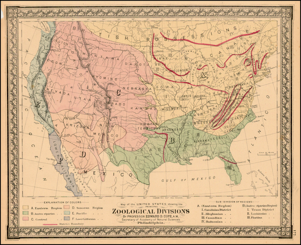 91-United States Map By O.W. Gray