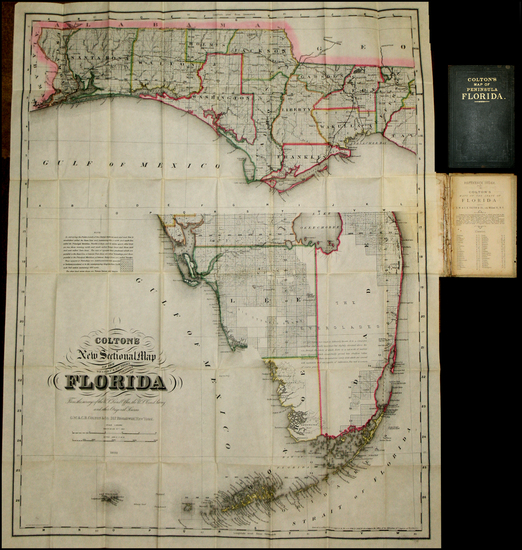 62-Florida Map By G.W.  & C.B. Colton