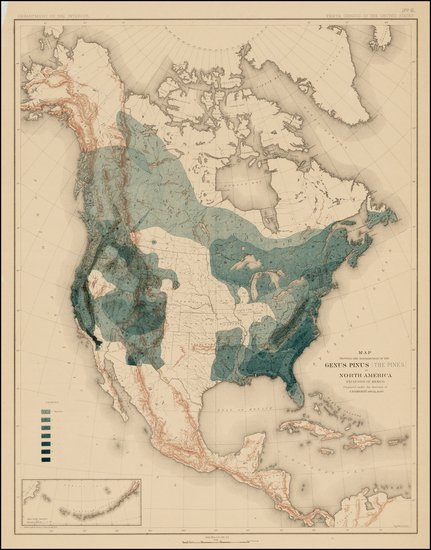 48-United States, North America and Canada Map By Julius Bien & Co.