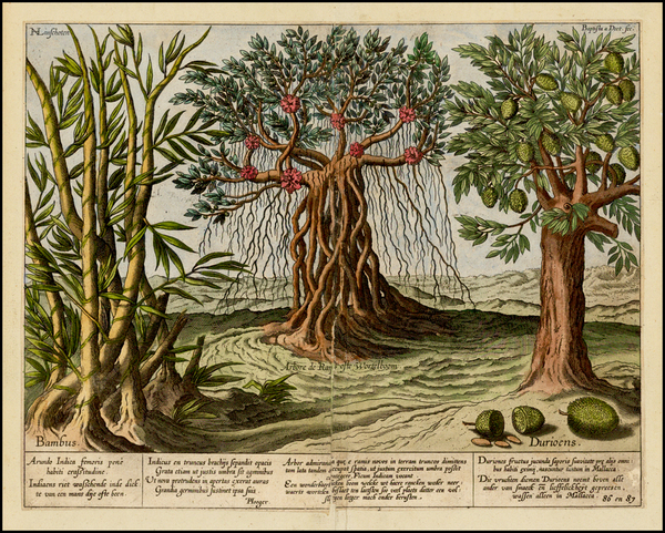 5-Southeast Asia and Curiosities Map By Jan Huygen van  Linschoten