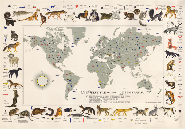 60-World and World Map By Rifra Verlag