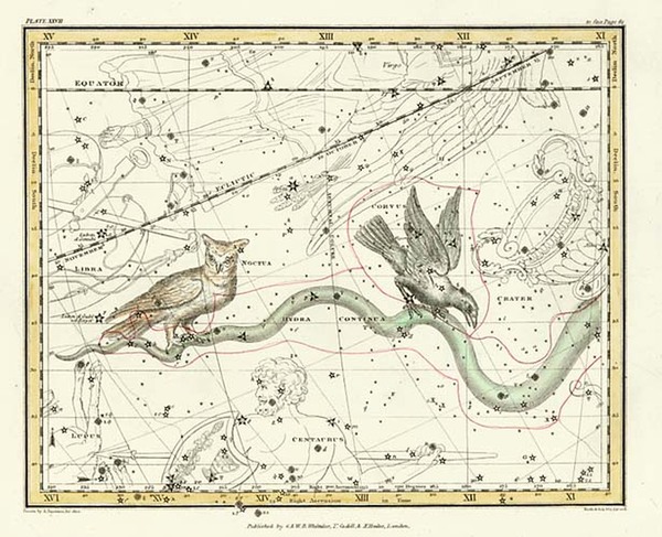 16-World, Celestial Maps and Curiosities Map By Alexander Jamieson