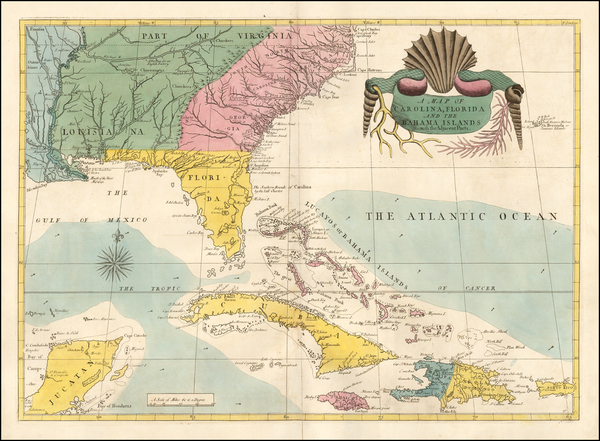 51-Florida, South, Southeast, Georgia, North Carolina and South Carolina Map By Mark Catesby