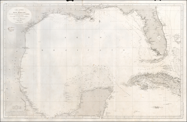 77-Florida, South, Southeast, Texas, Mexico, Caribbean and Cuba Map By Direccion Hidrografica de M