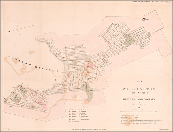 96-New Zealand Map By Felton Mathew