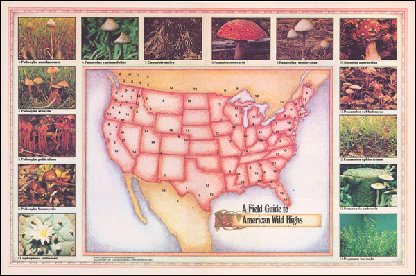 1-United States, Pictorial Maps and Curiosities Map By Louis Crandell