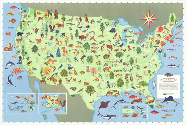 56-United States and Pictorial Maps Map By Standard Research Corporation