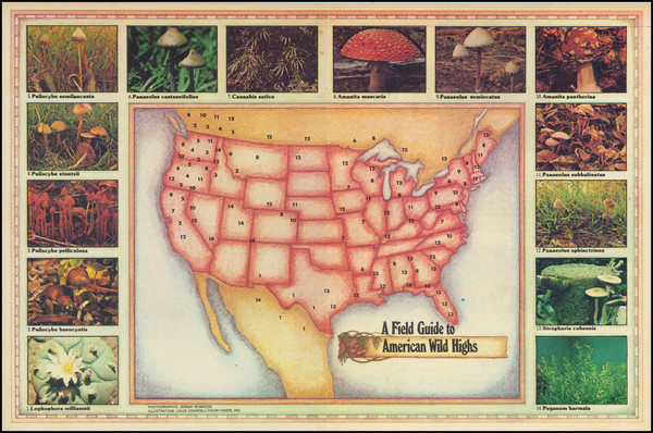 25-United States, Pictorial Maps and Curiosities Map By Louis Crandell