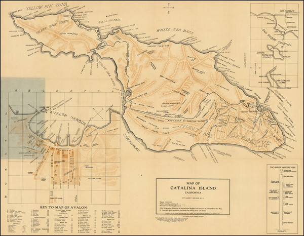 53-California and Other California Cities Map By Harry Wilson