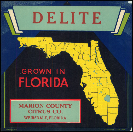 40-Florida and Pictorial Maps Map By Florida Grower Press