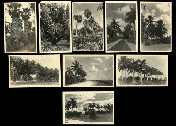 46-Florida and Photographs Map By W.A. Fishbaugh