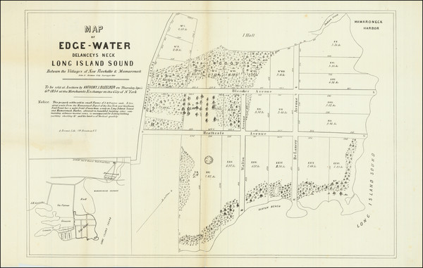 18-New York City and New York State Map By John Bute Holmes