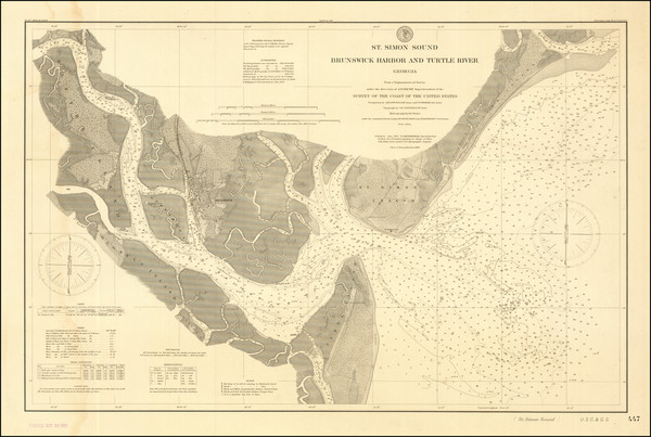 95-Georgia Map By U.S. Coast & Geodetic Survey