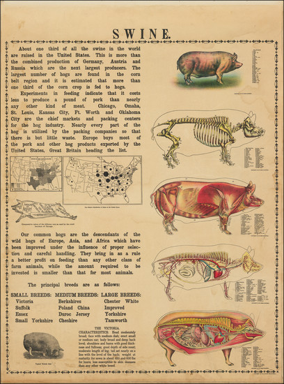 92-United States and Natural History & Science Map By James McConnell