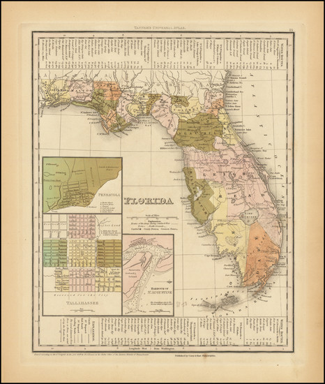 25-Florida Map By Henry Schenk Tanner / Carey & Hart