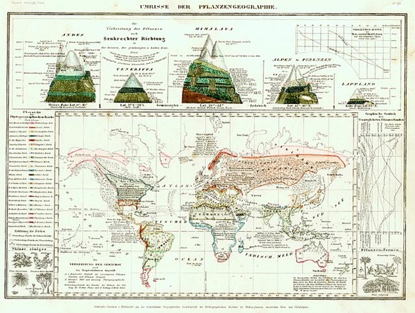 27-World, World and Curiosities Map By Joseph Meyer