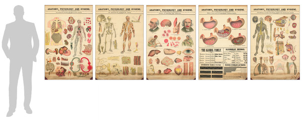 36-Curiosities Map By John Harvey Kellogg