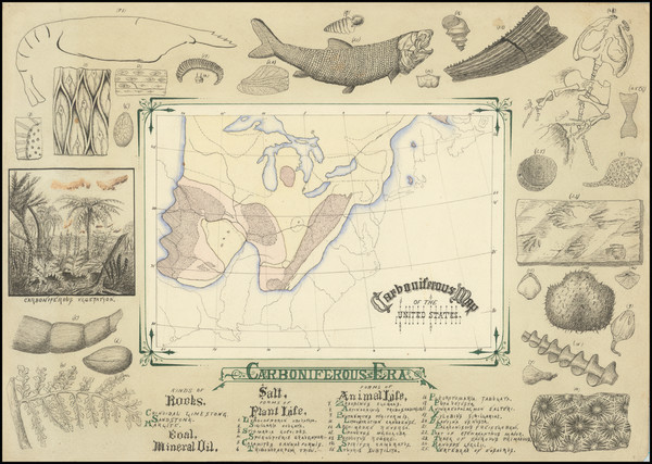 5-United States and Geological Map By Anonymous