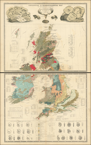 77-Natural History & Science Map By W. & A.K. Johnston  &  William Blackwood & Son