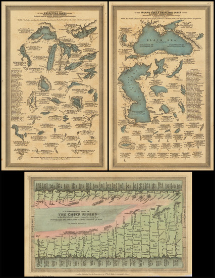 77-Curiosities Map By Thomas Starling