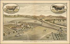 San Diego Map By W.W. Elliott & Co.