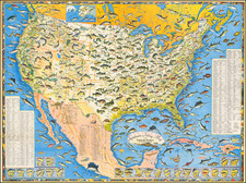 United States and Pictorial Maps Map By Ira Moss