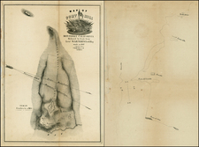 California Map By P.M. Mc Gill