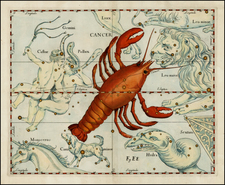 Celestial Maps Map By Johannes Hevelius