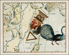 Celestial Maps Map By Johannes Hevelius