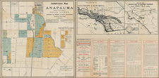 California Map By David Hewes