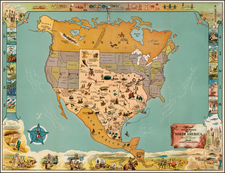 Texas Map By Mark Storm