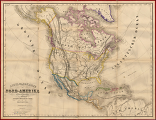 United States and North America Map By Lienhart Holle