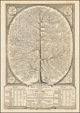 Curiosities Map By Jacques Crétineau-Joly