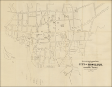 Hawaii and Hawaii Map By A. B. Loebenstein