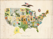 United States and Pictorial Maps Map By Anonymous