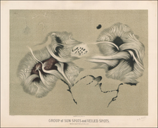 Celestial Maps Map By Etienne Leopold Trouvelot