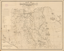 Florida Map By J. W. Bushnell / A. T. Williams